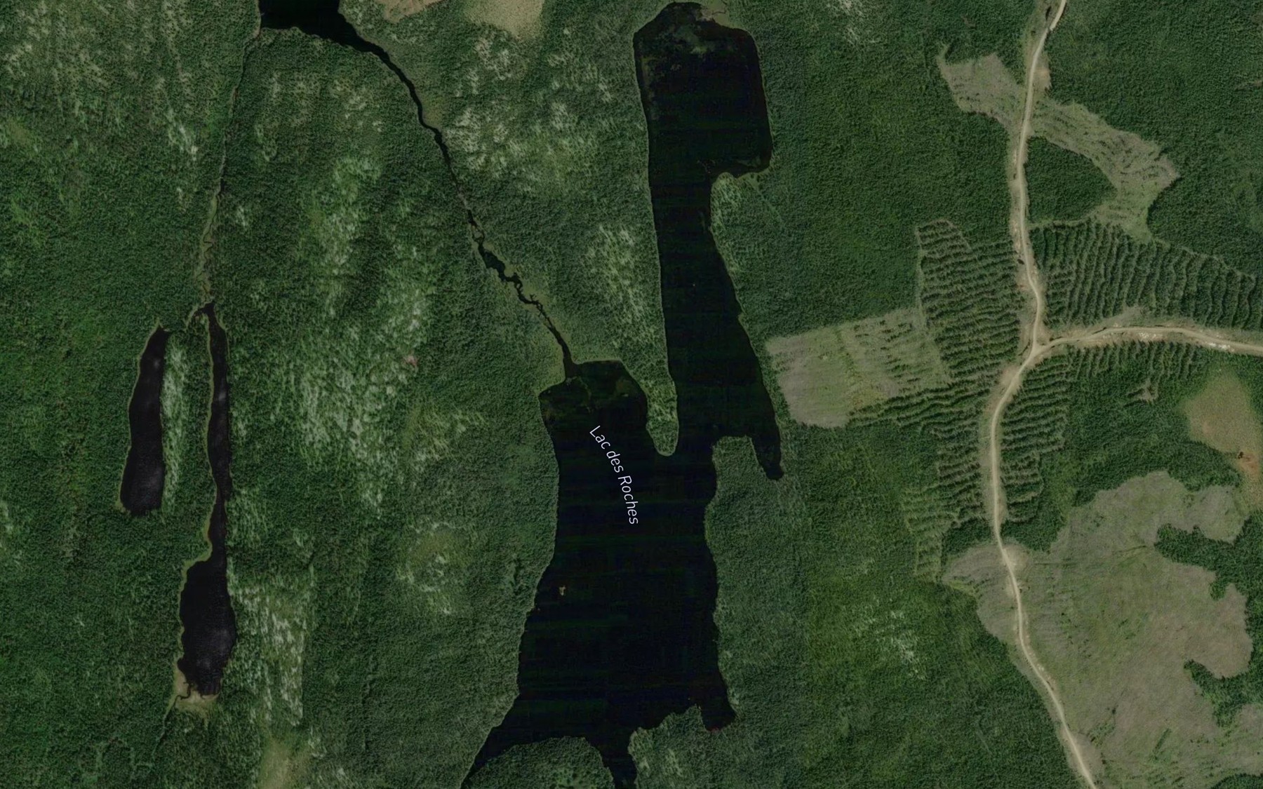 Satellite map of the Lac des Roches