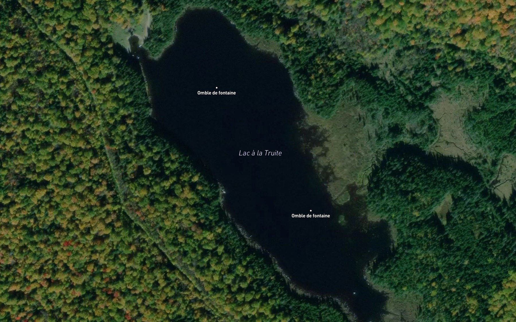 Satellite map of the Lac a la Truite
