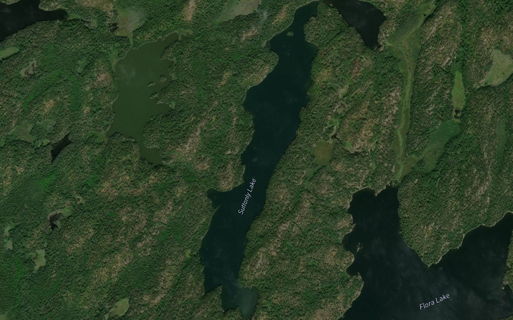 Satellite map of the Suttonly Lake