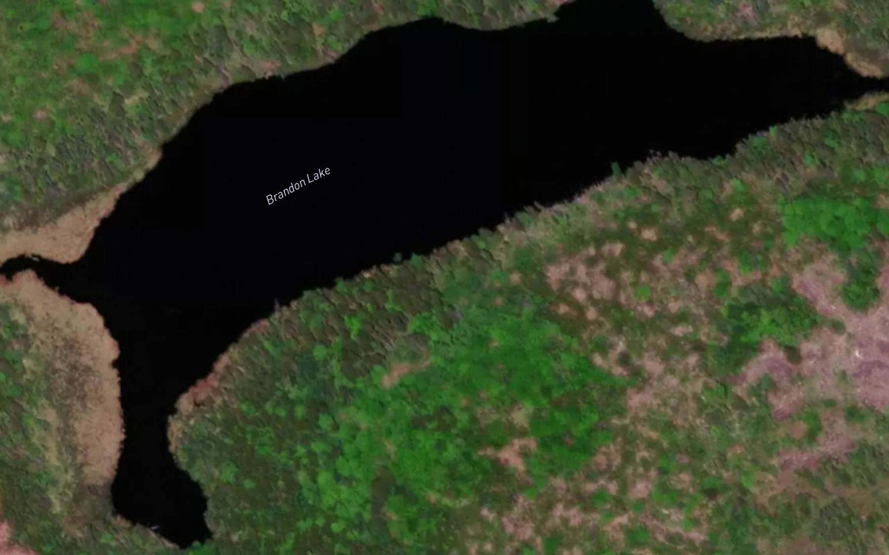 Satellite map of the Brandon Lake