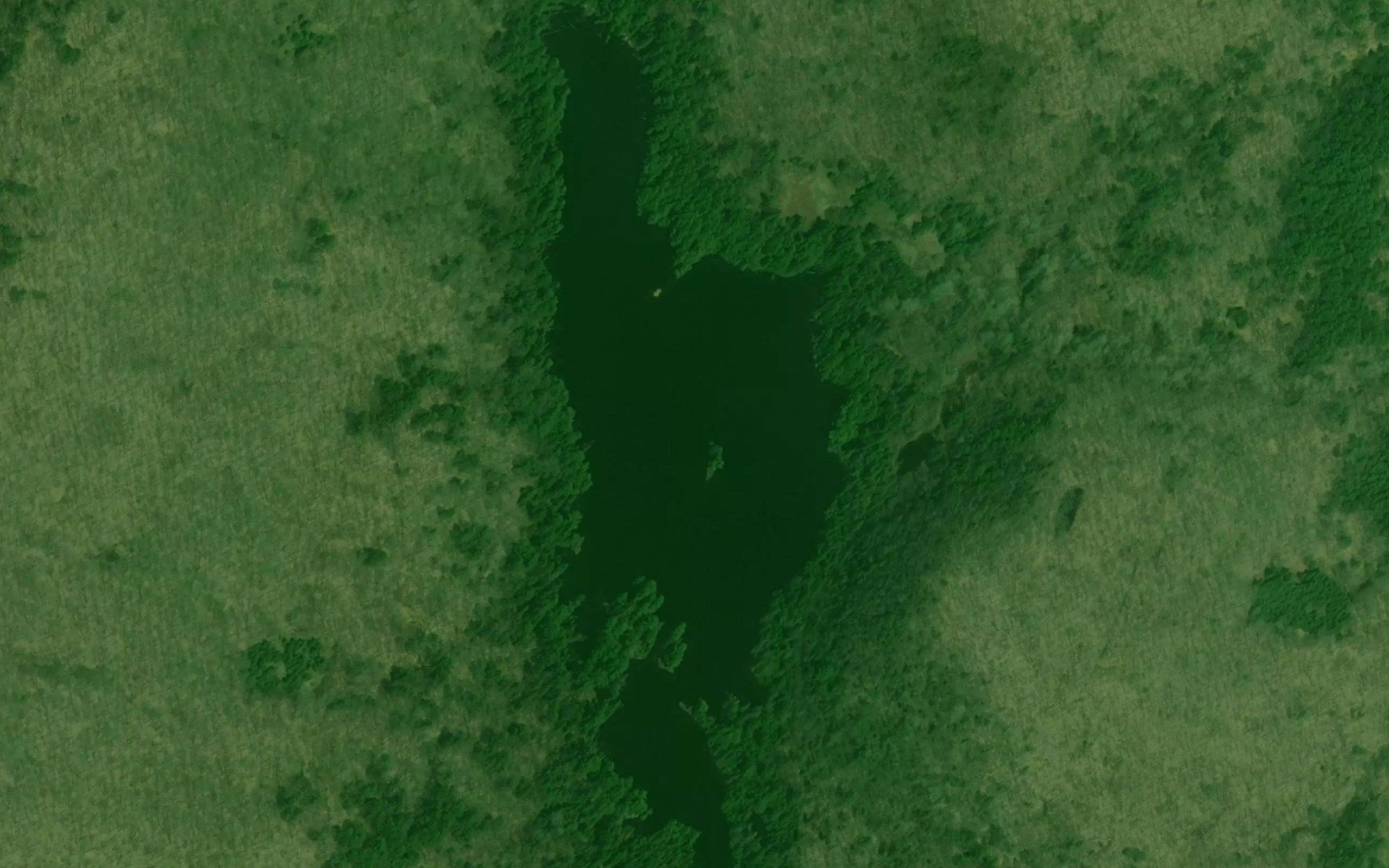 Grosbeak Lake
