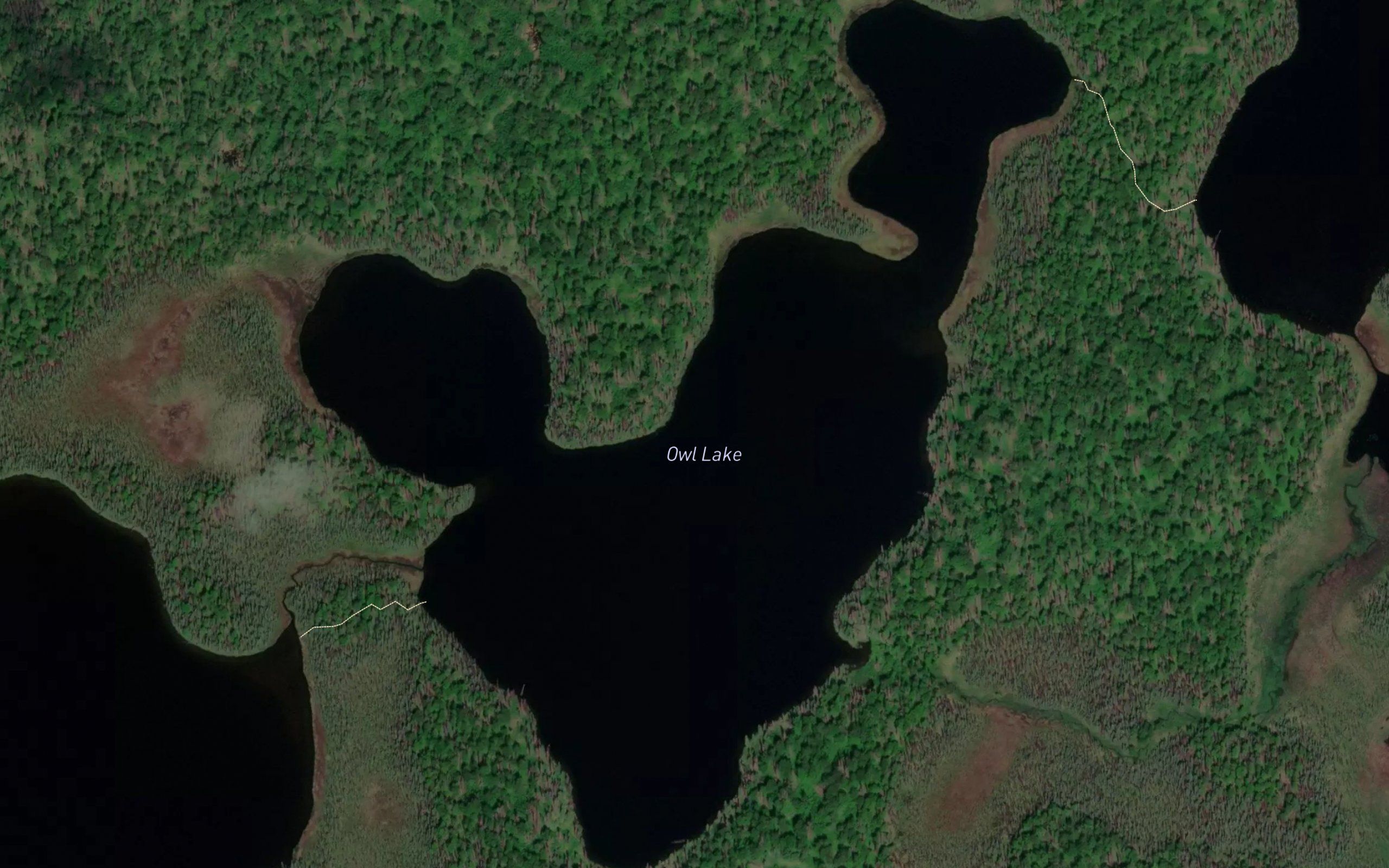 Owl Lake