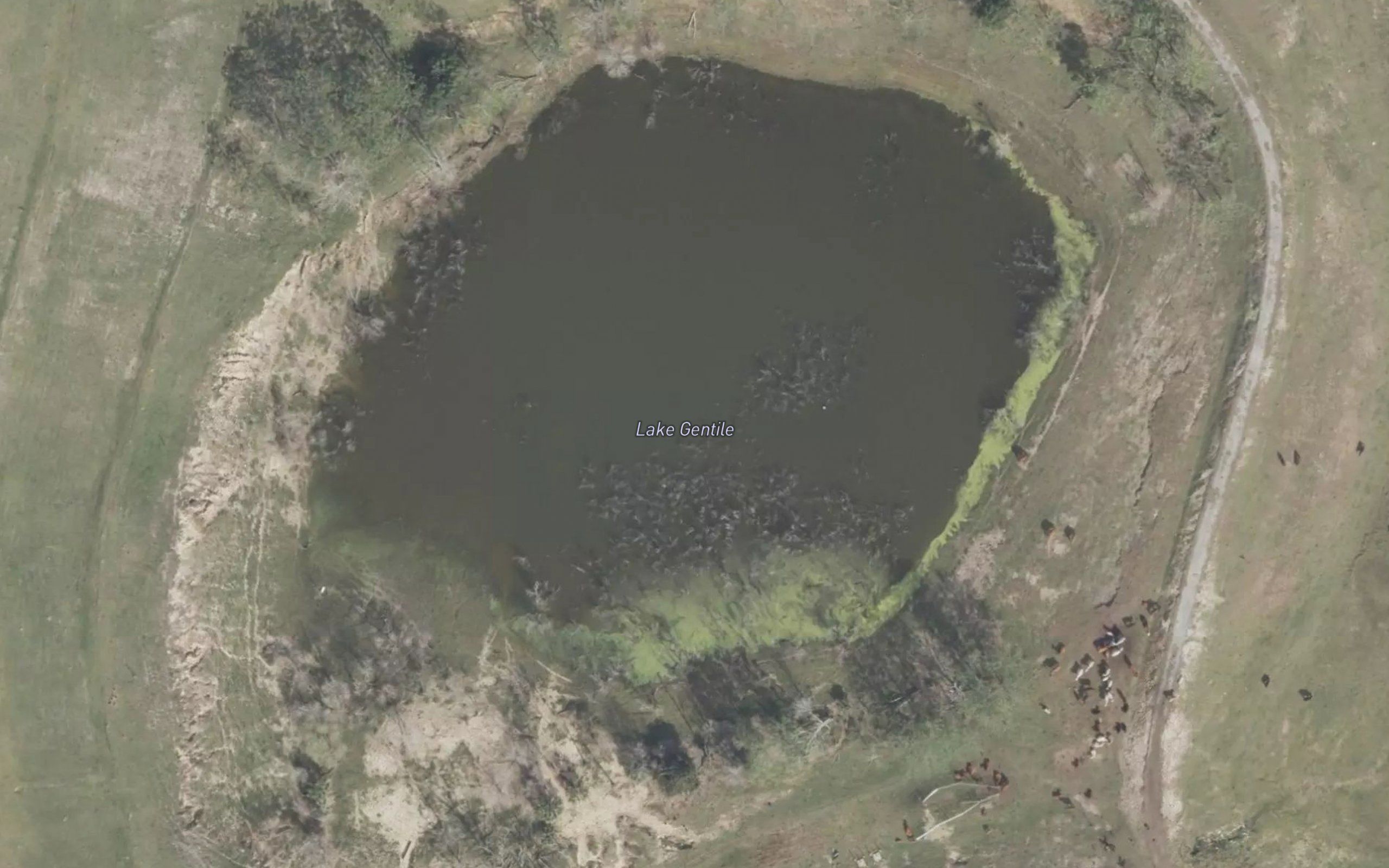 Lake Gentile