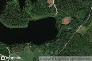 Haarikkapohja