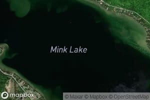 Mink Lake