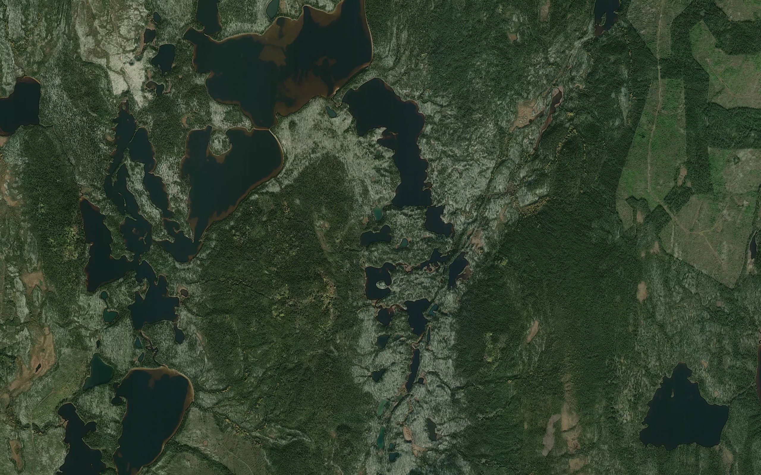 Lac de la Loutre