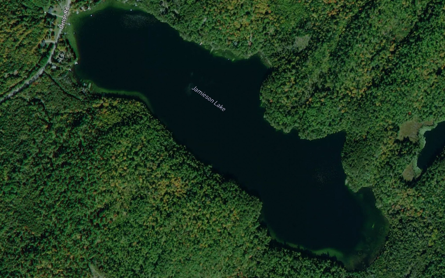 Satellite map of the Jamieson Lake