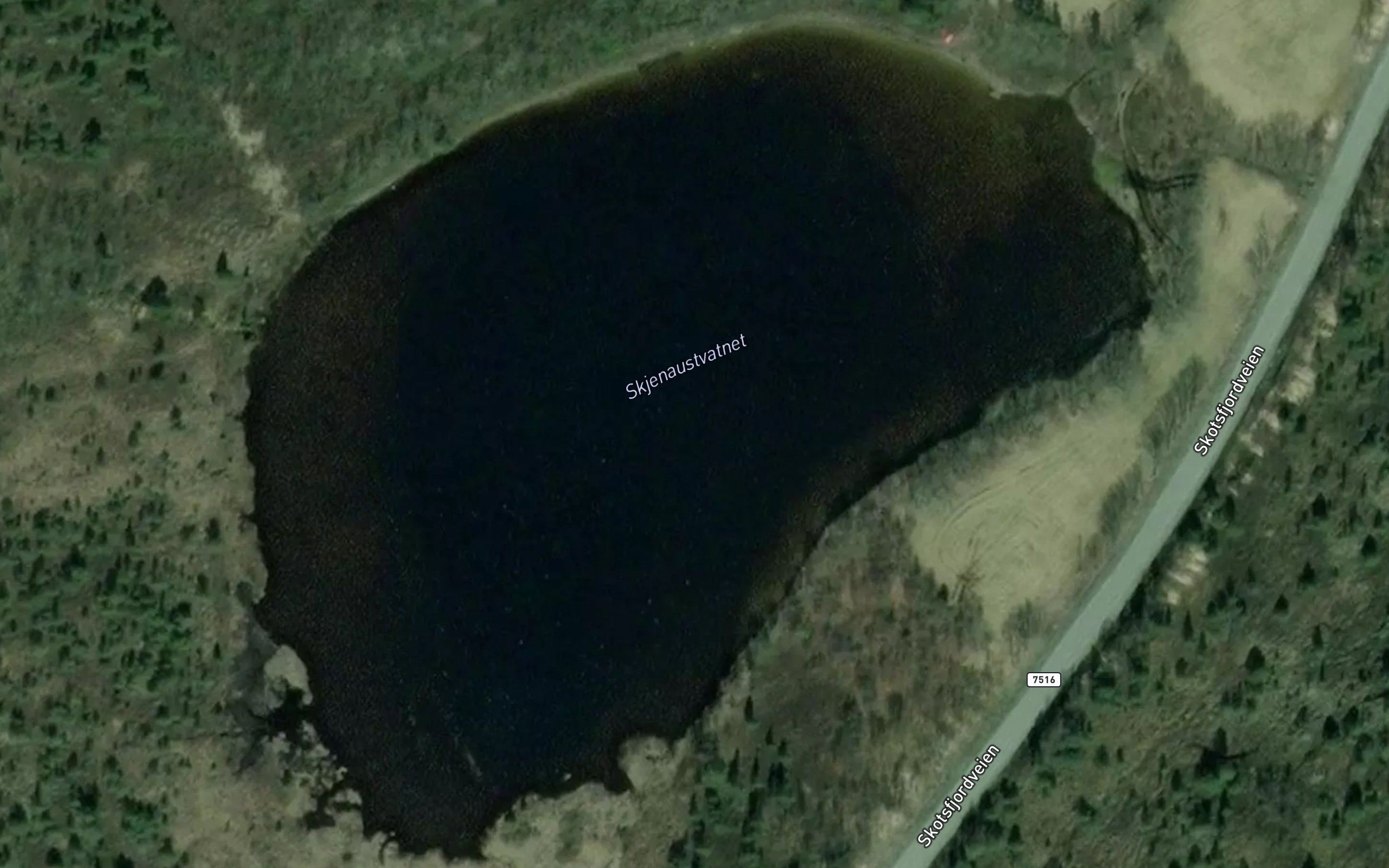 Skjenaustvatnet