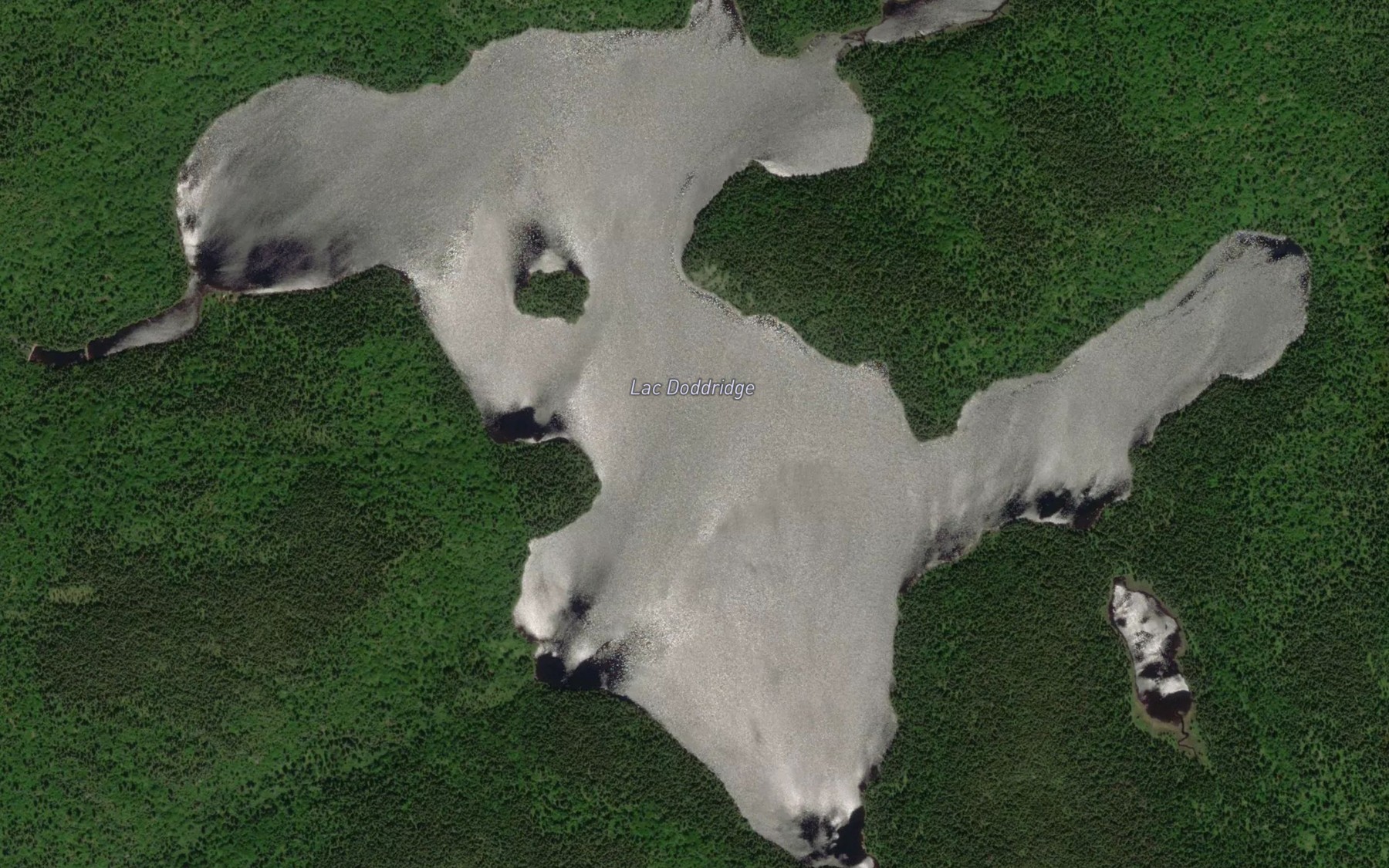 Satellite map of the Lac Doddridge