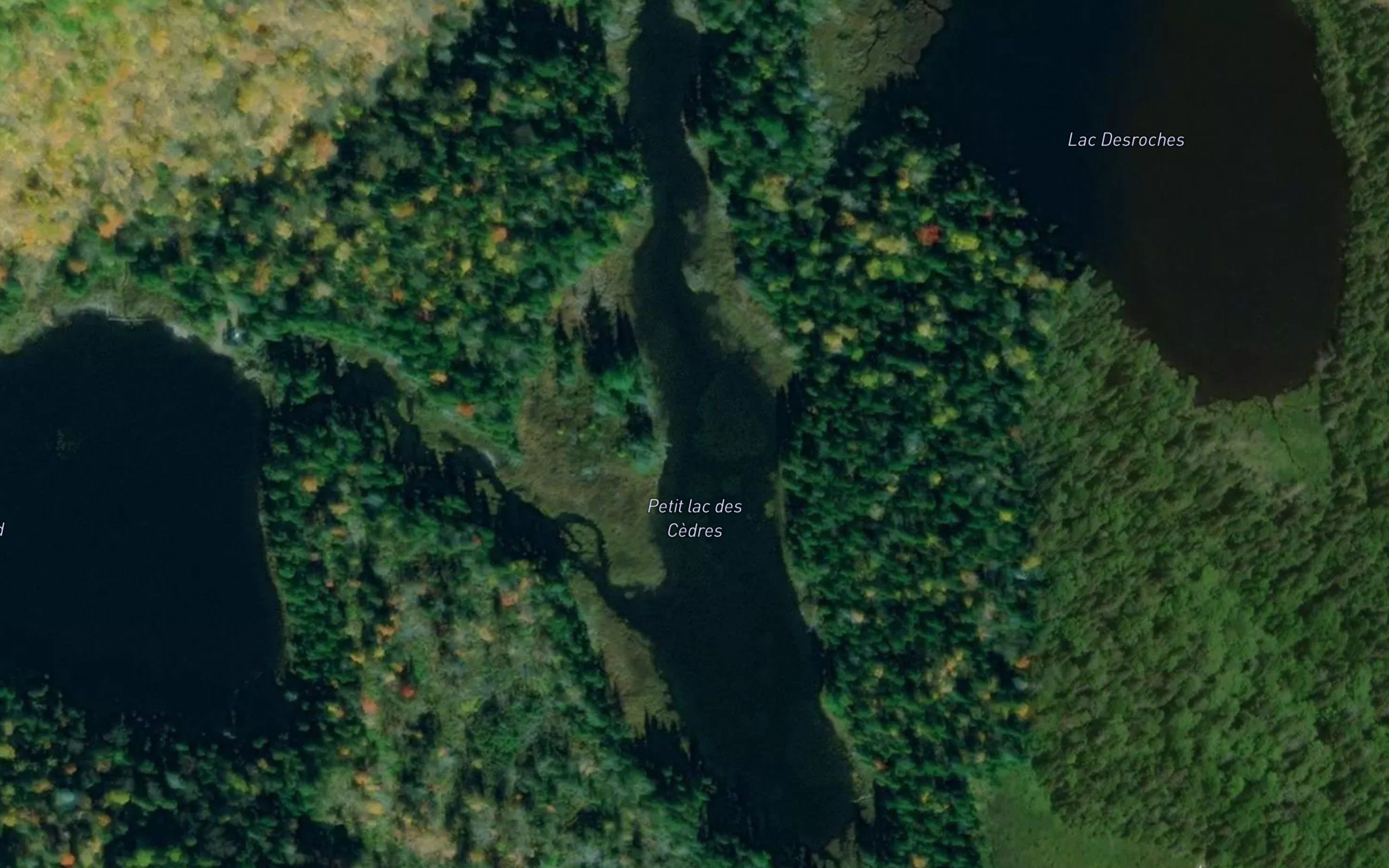 Petit lac des Cedres