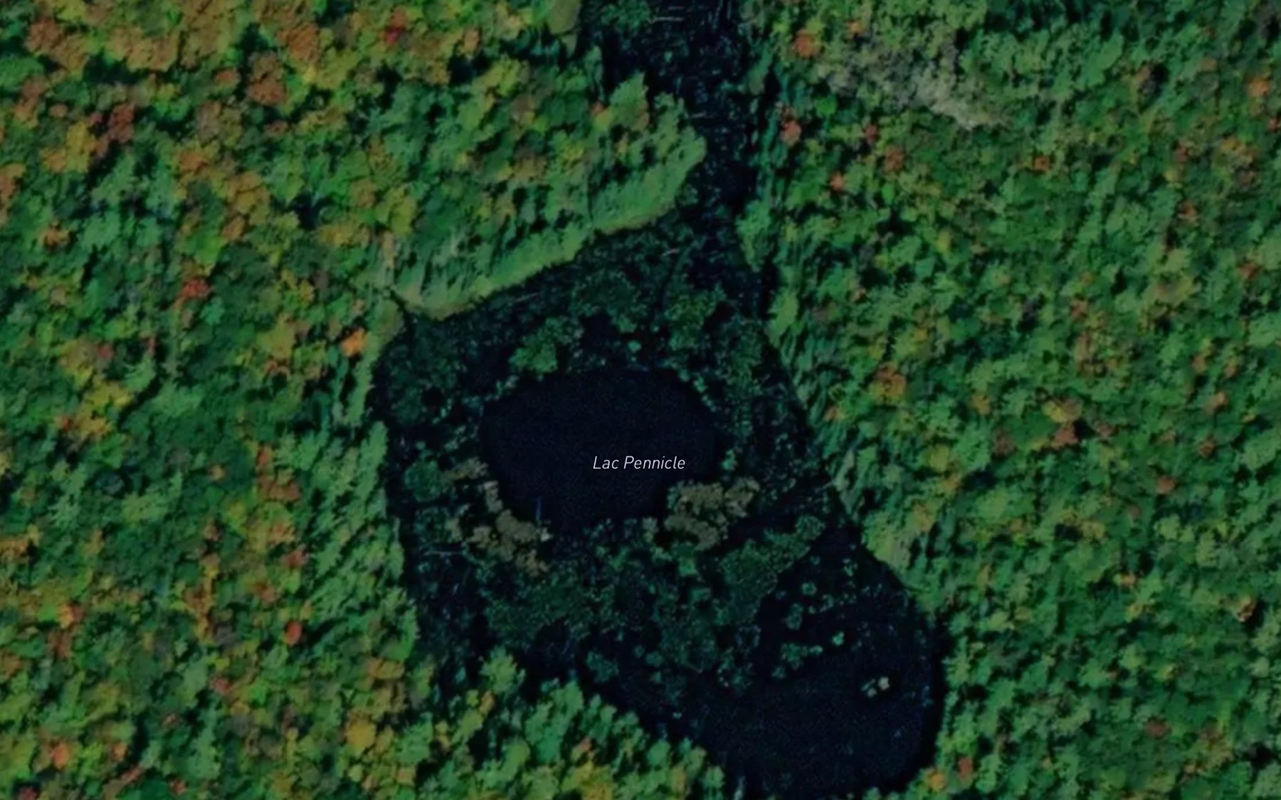 Satellite map of the Lac Pennicle