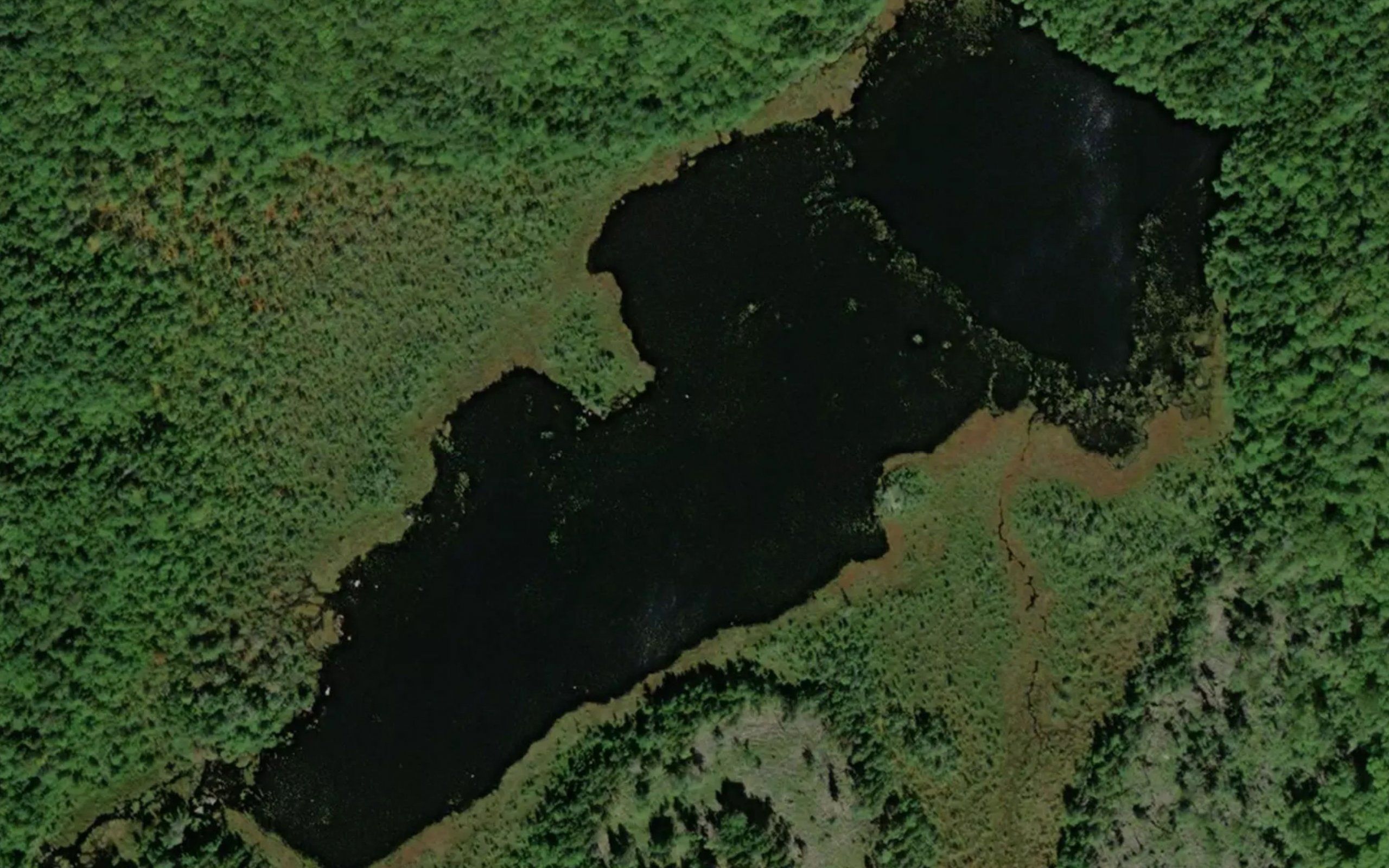 Rushy Lake