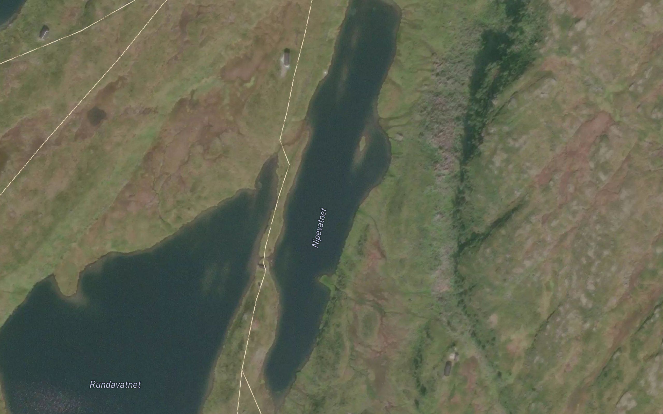 Nipevatnet