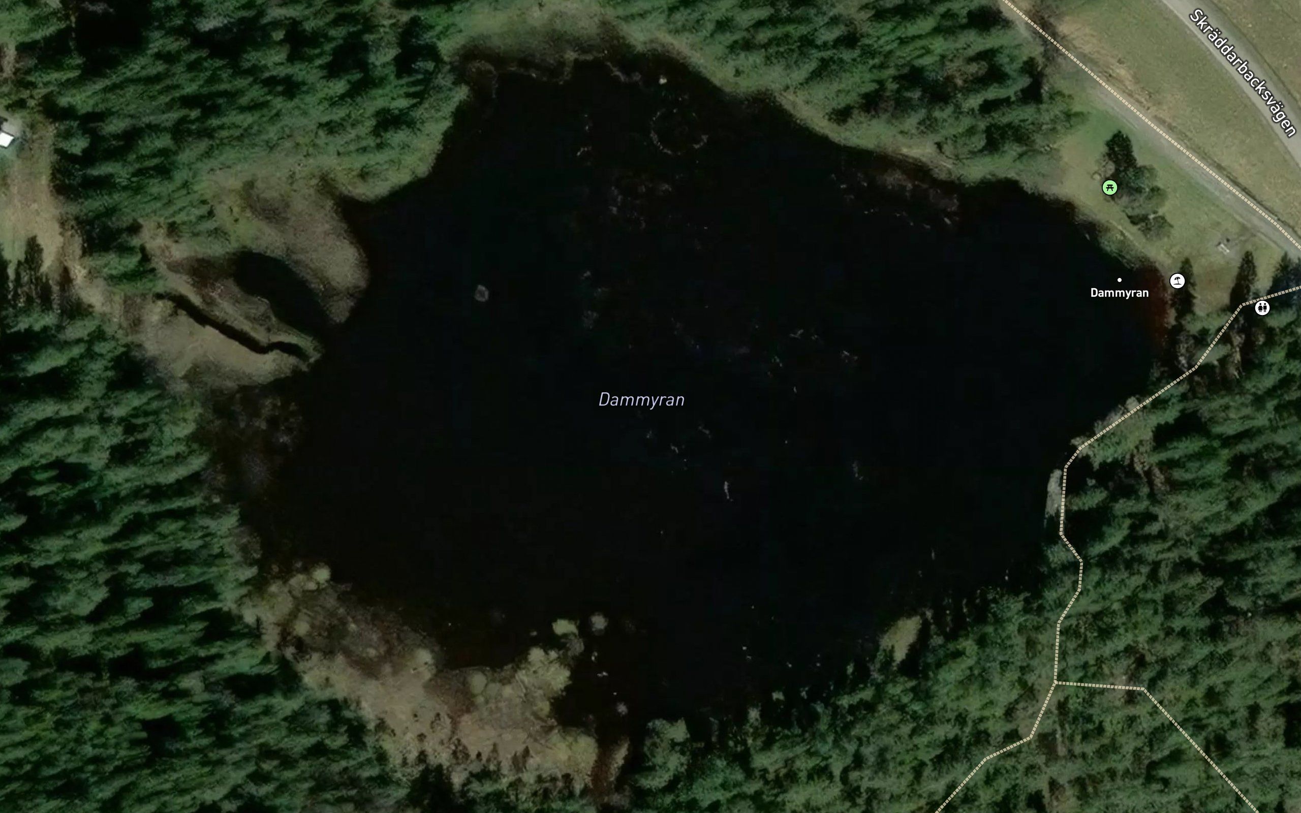 Dammyran