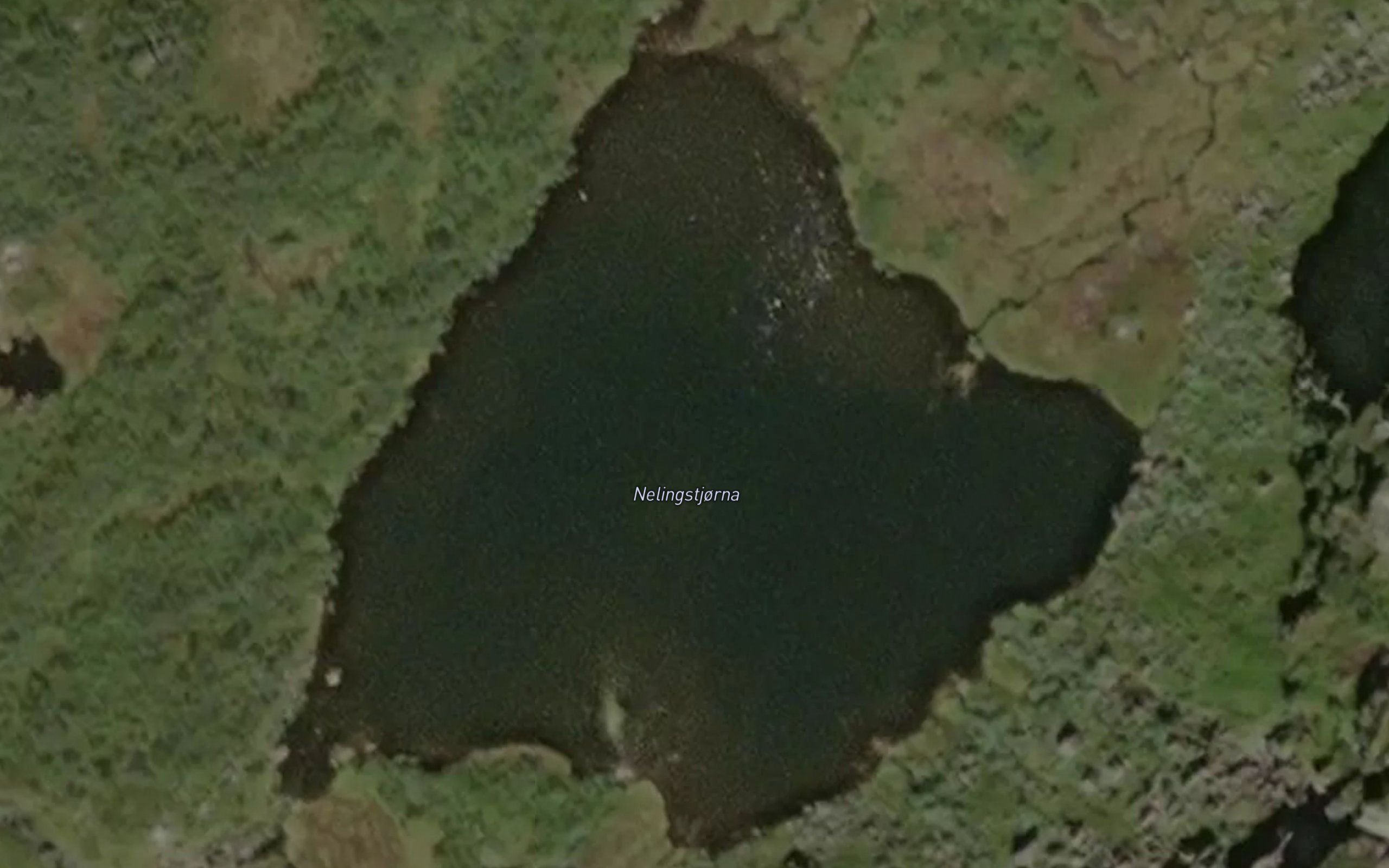 Nelingstjorna