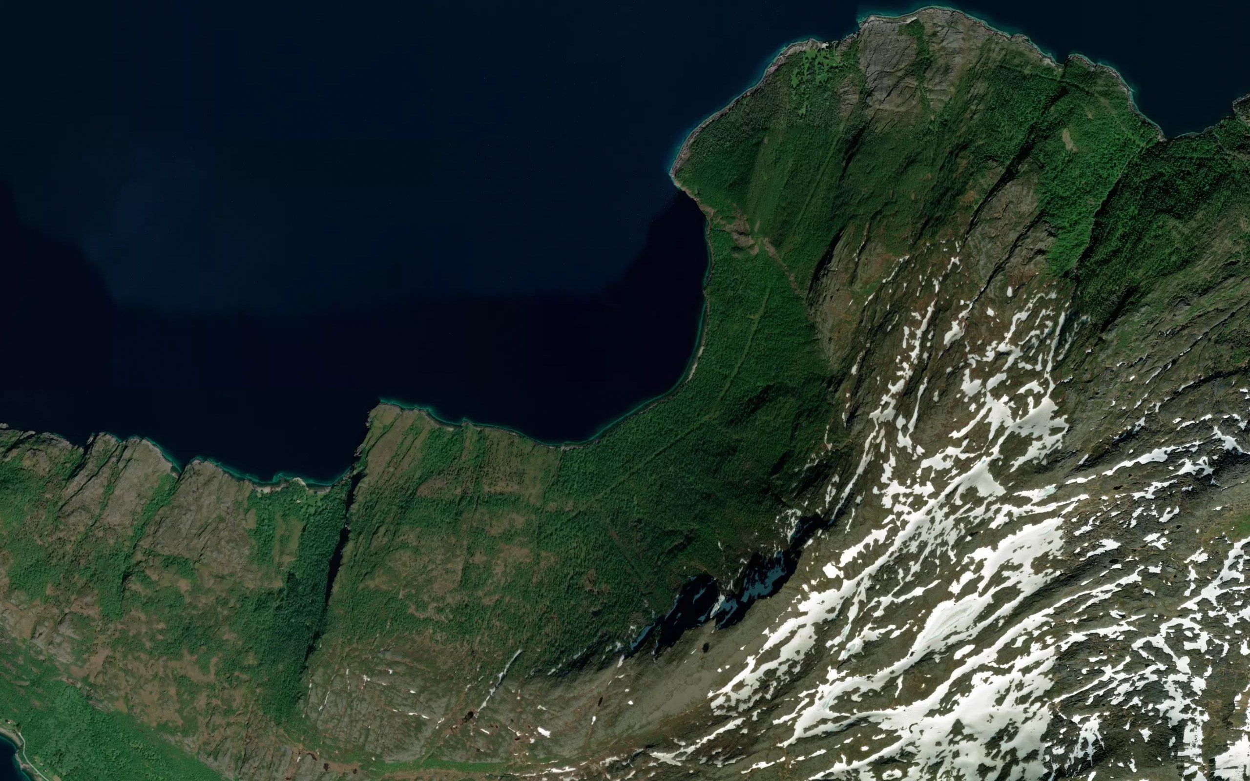 Linesvika