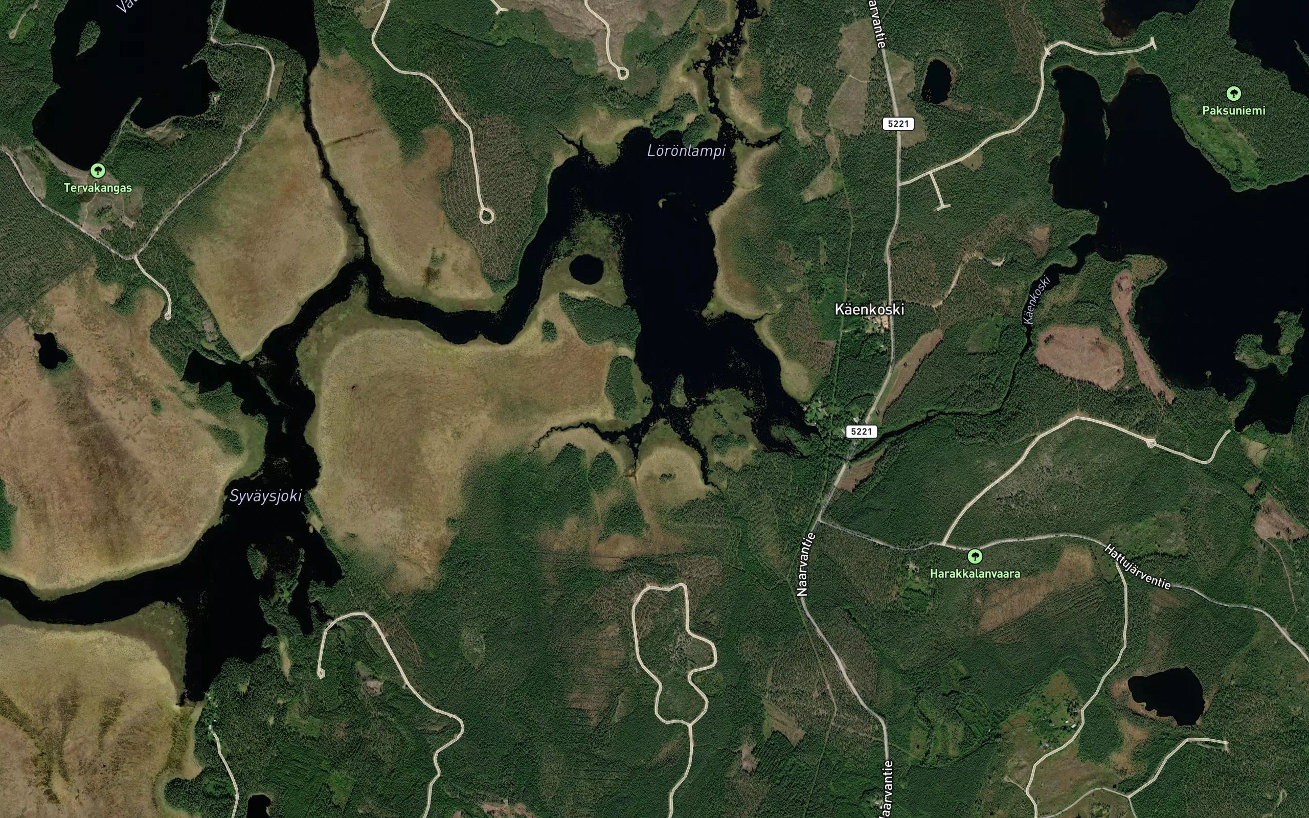 Korpipuro