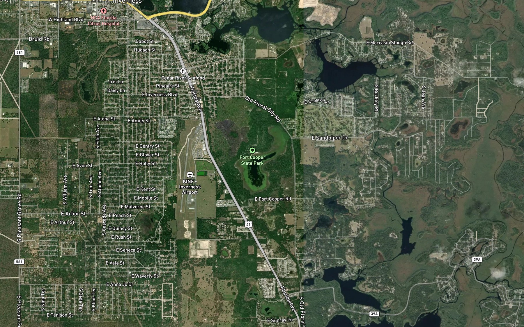 Satellite map of the Fort Cooper Lake