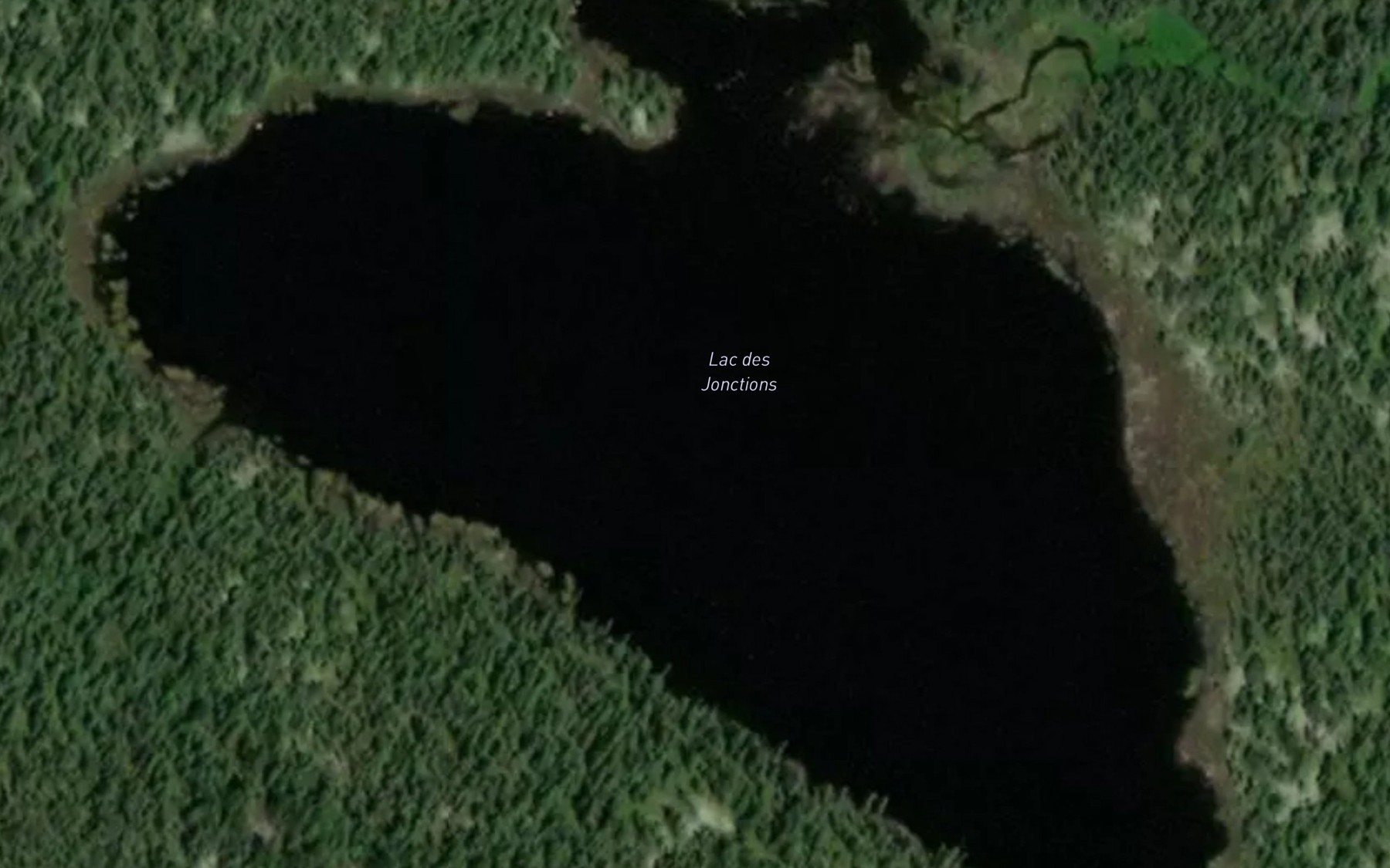 Satellite map of the Lac des Jonctions