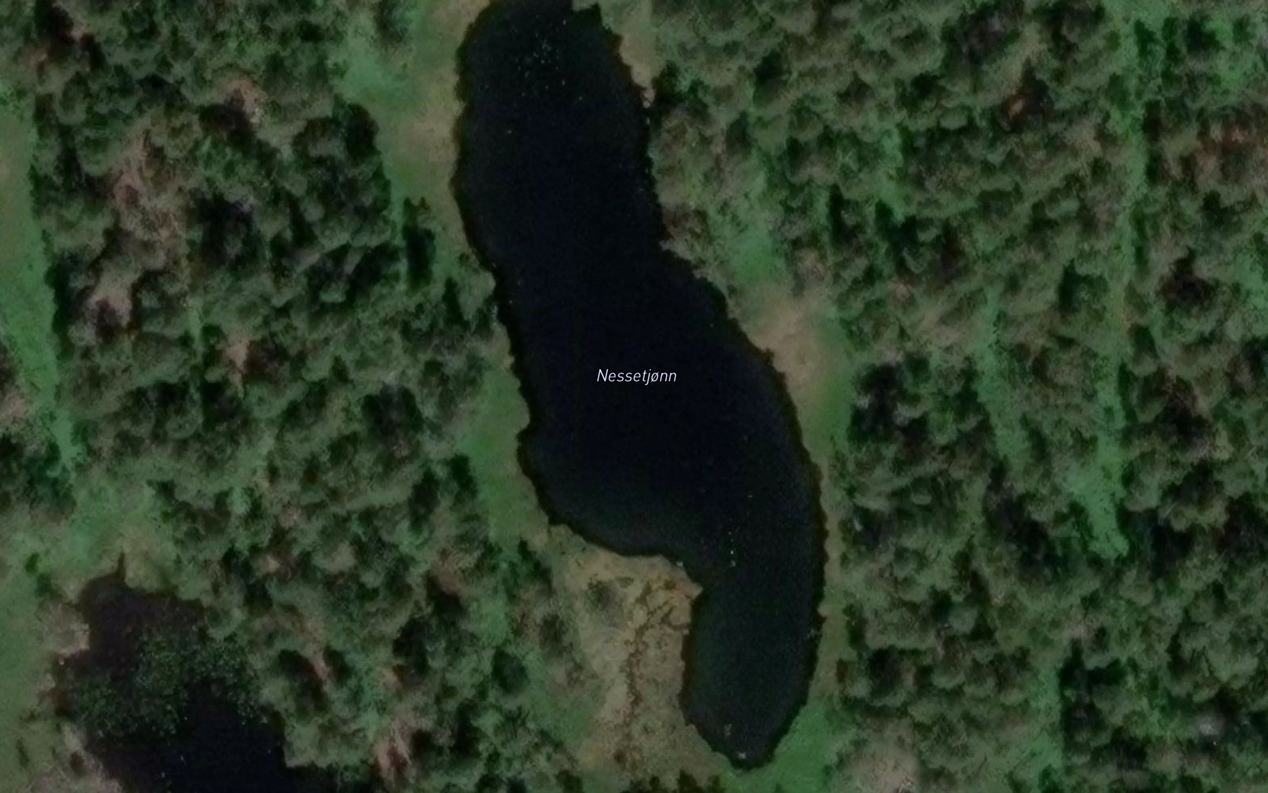 Nessetjonn