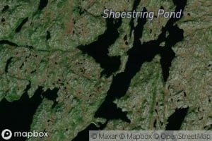 Shoestring Pond