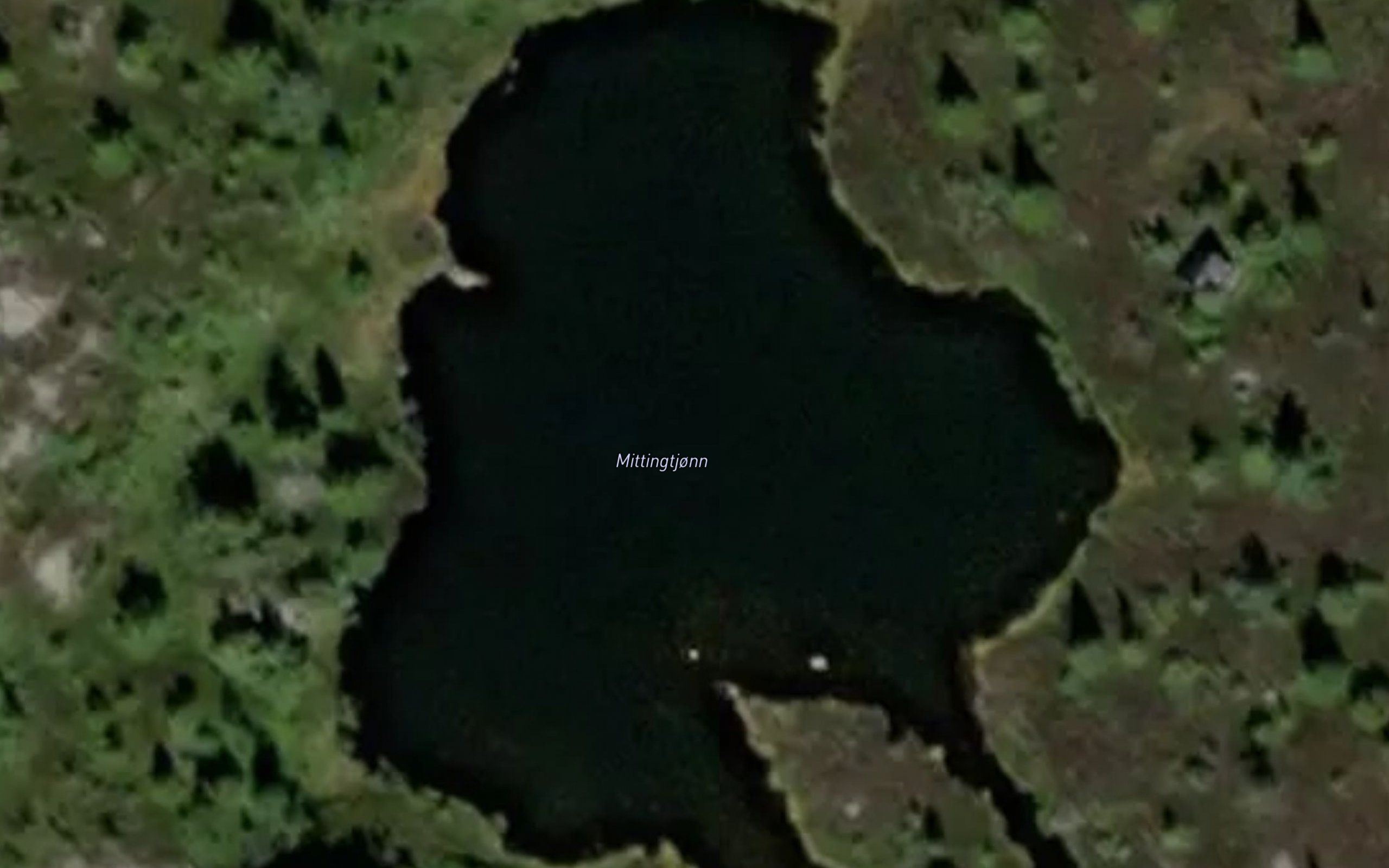 Mittingtjonn