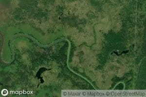 Bear Fork Bayou