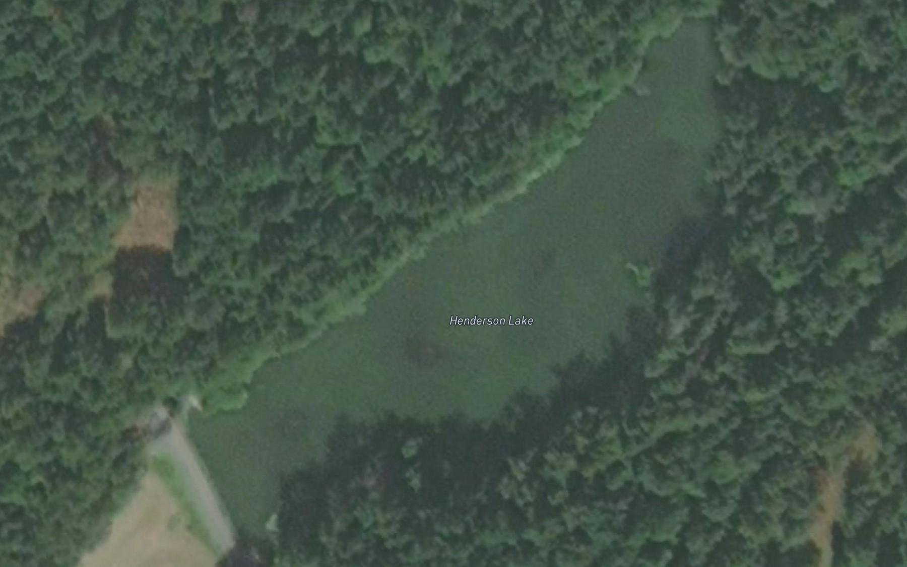 Satellite map of the Henderson Lake