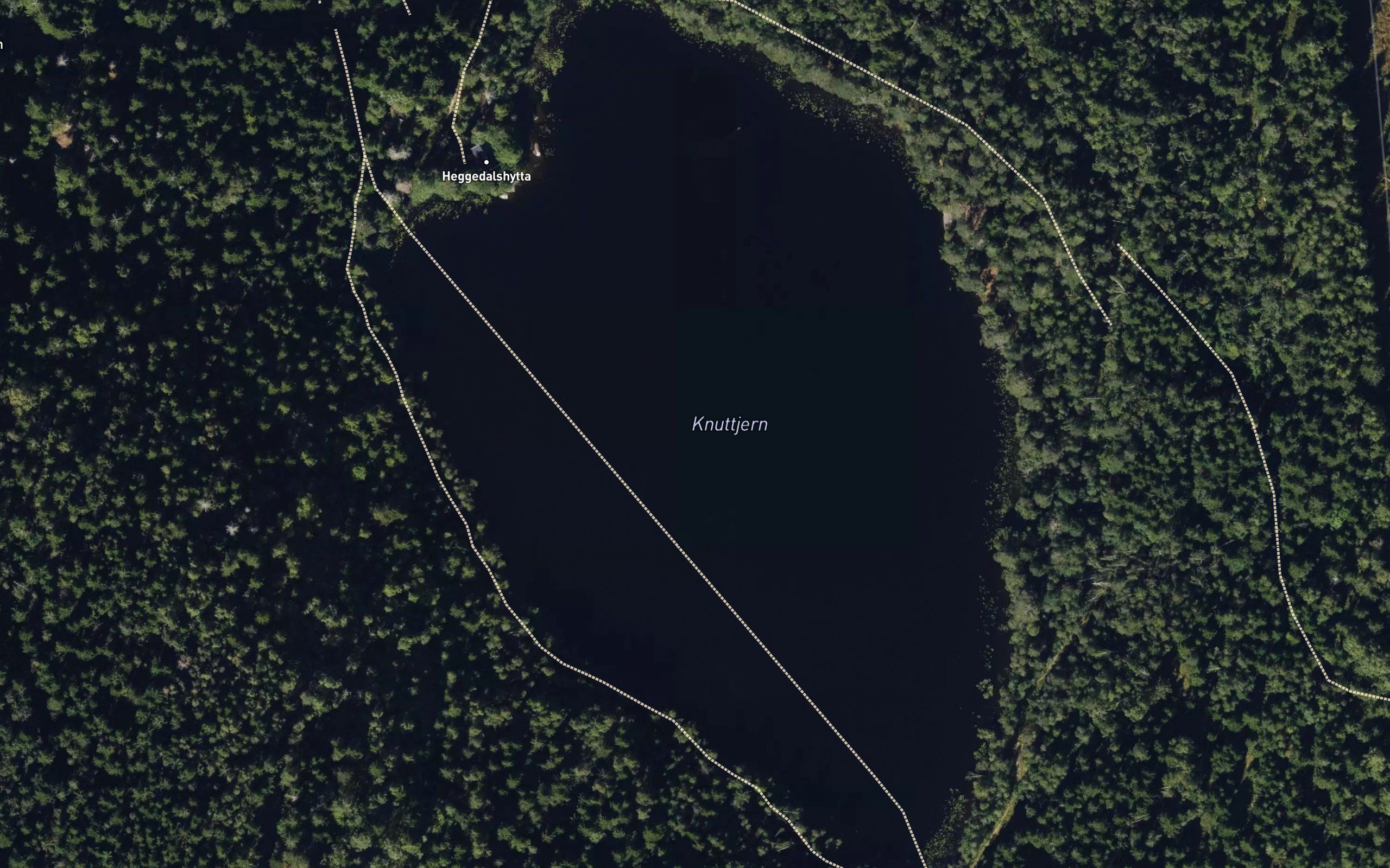 Knuttjern