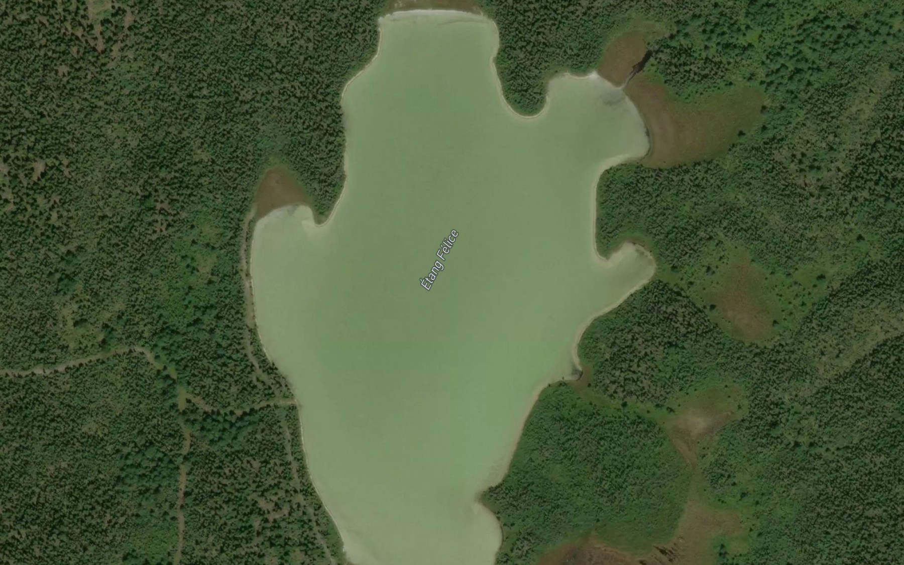 Satellite map of the Etang Felice