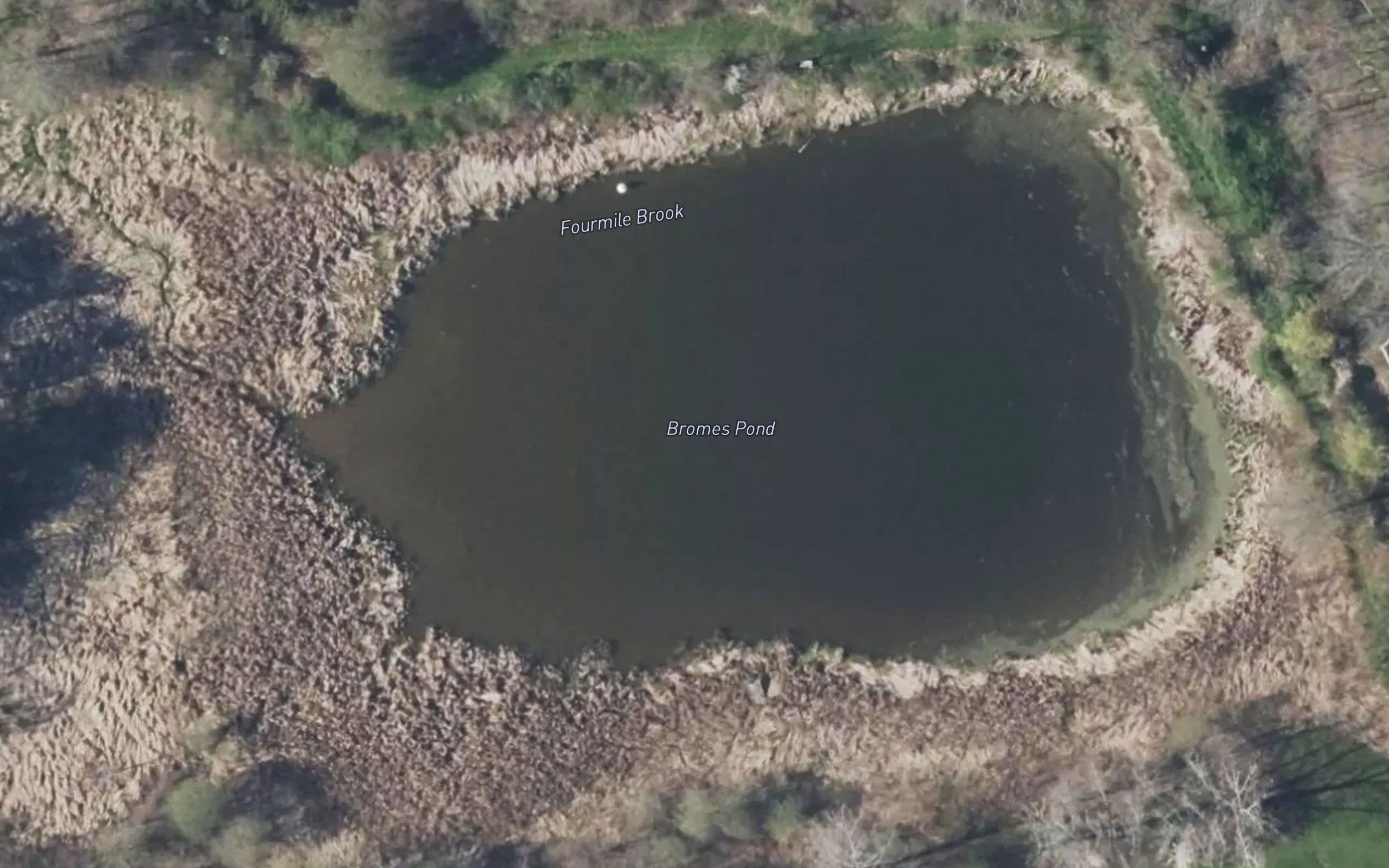 Bromes Pond