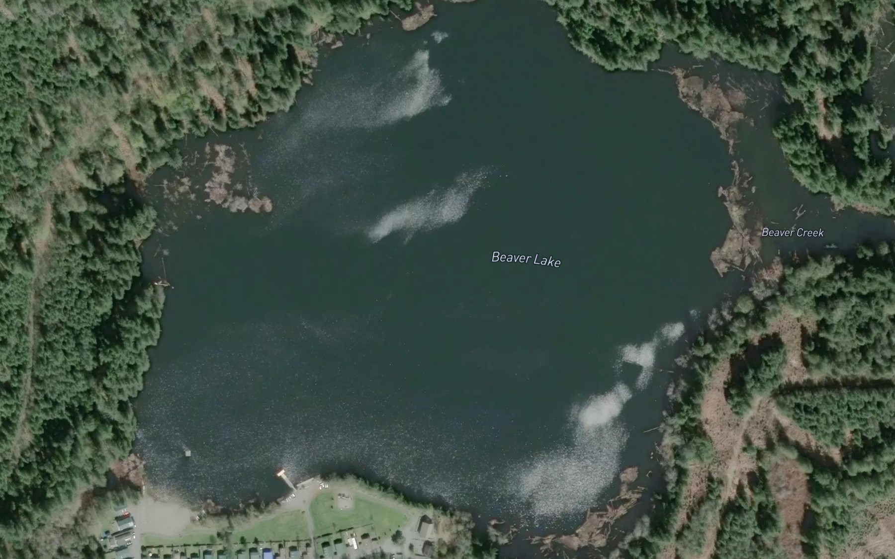Satellite map of the Beaver Lake