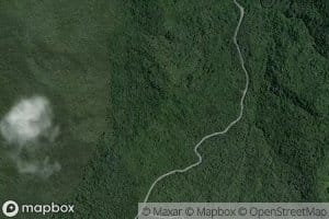 Nikauponuponu Stream