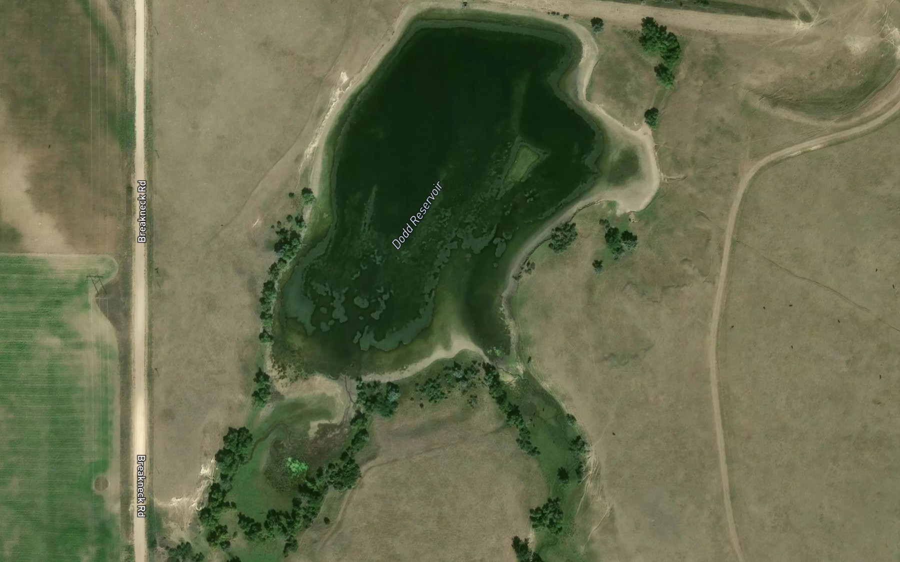 Satellite map of the Dodd Reservoir