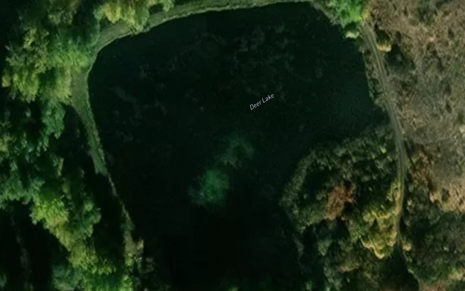 Satellite map of the Deer Lake