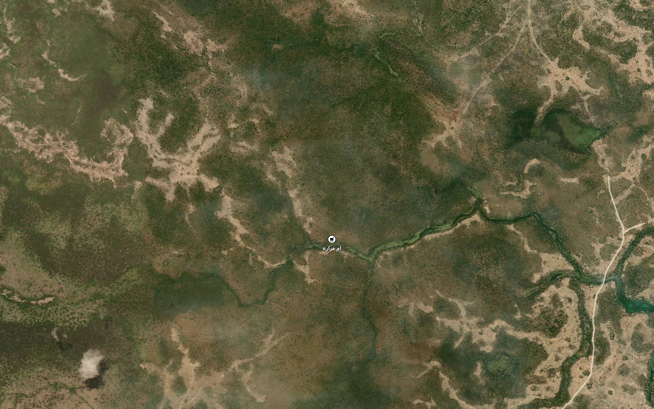 Shagadi ed Doleiba