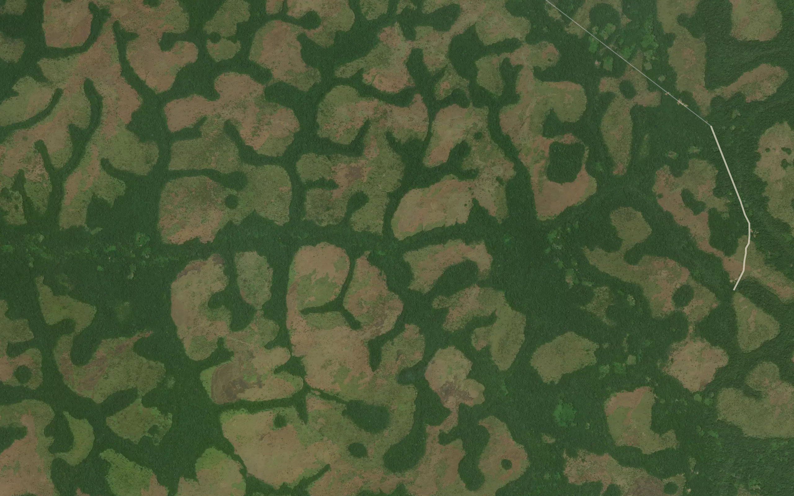Parakusa