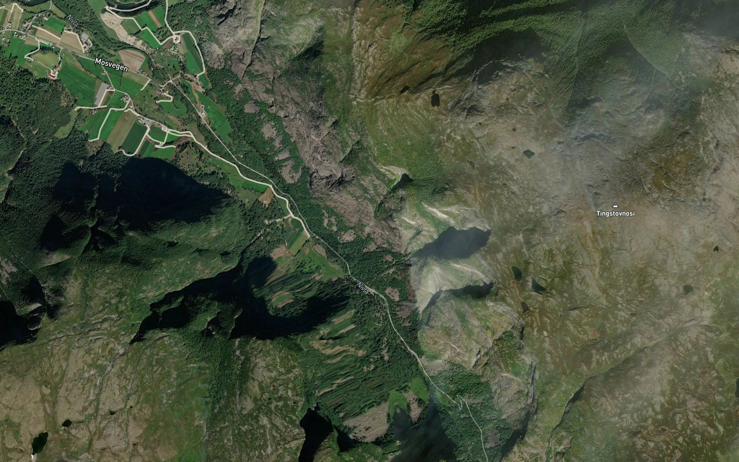 Haukelidgrovi