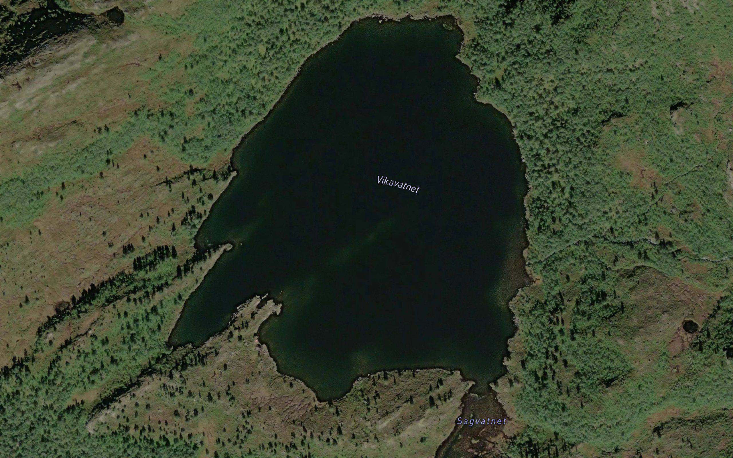 Vikavatnet