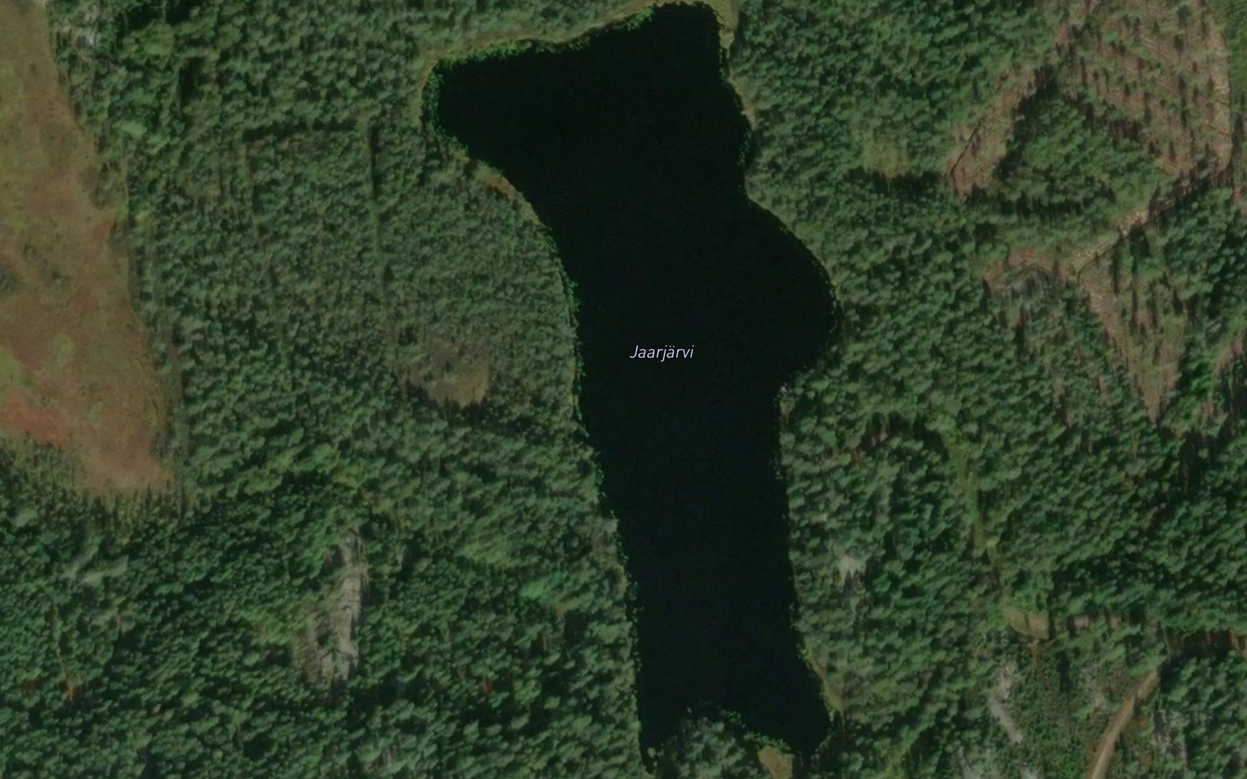 Jaarjarvi