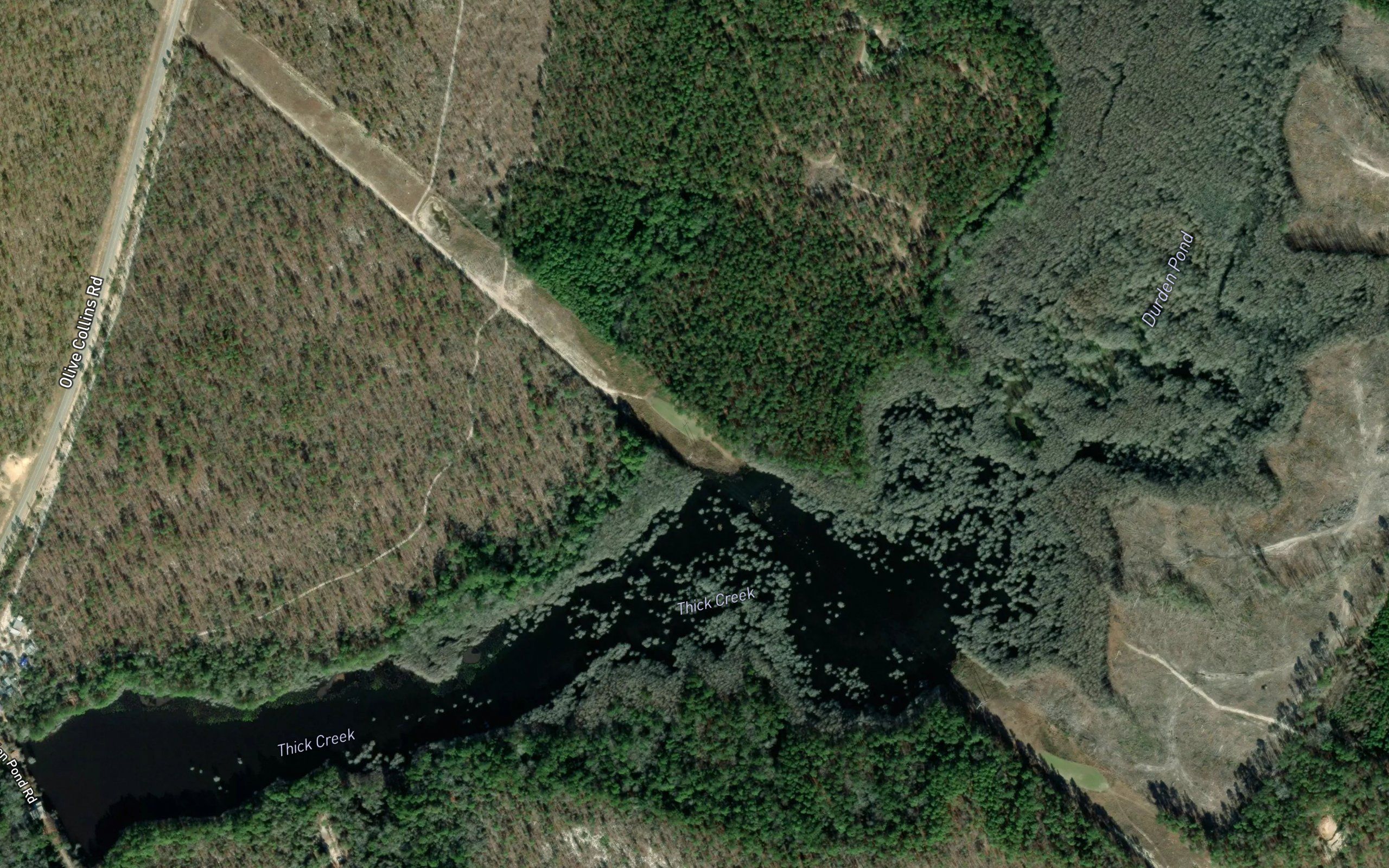 Durden Pond