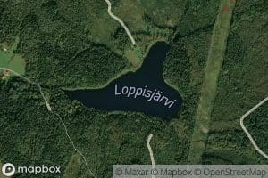 Loppisjarvi