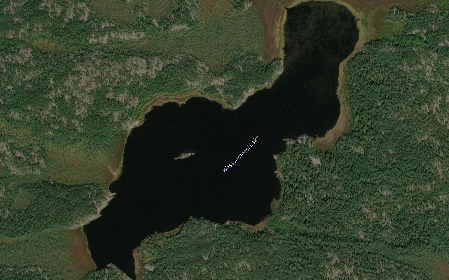 Satellite map of the Wasayameesi Lake