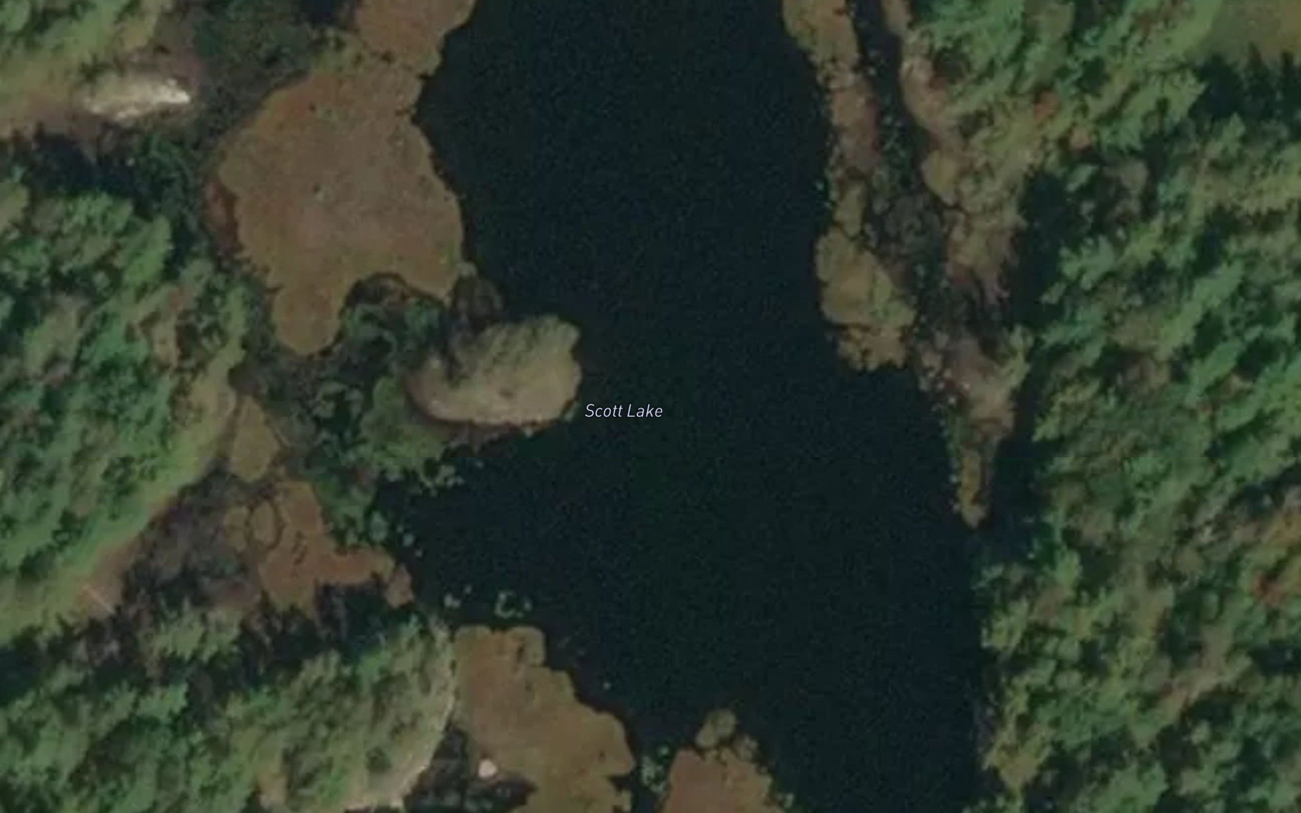Scott Lake