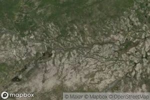 Tjorngrovi