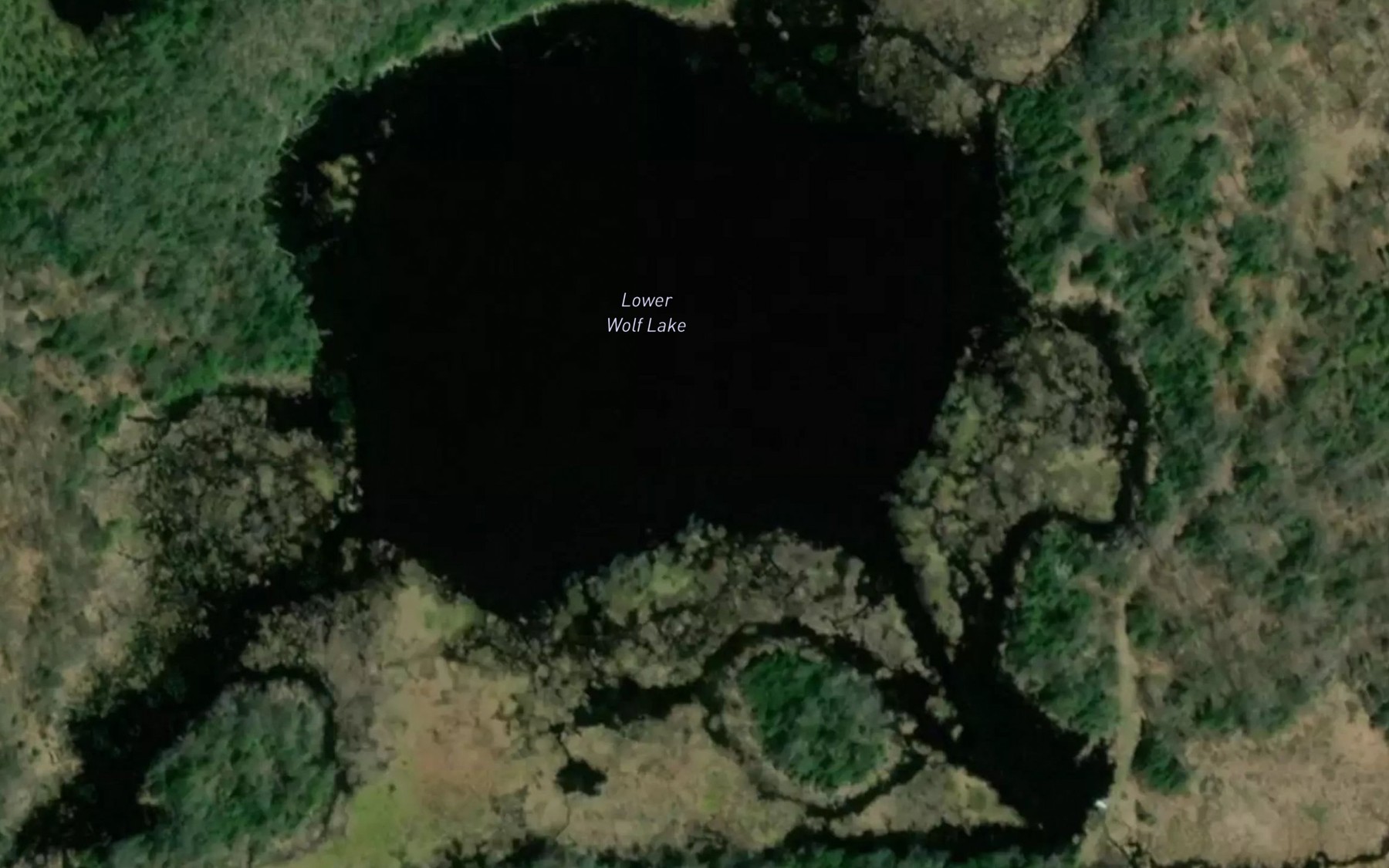 Satellite map of the Lower Wolf Lake
