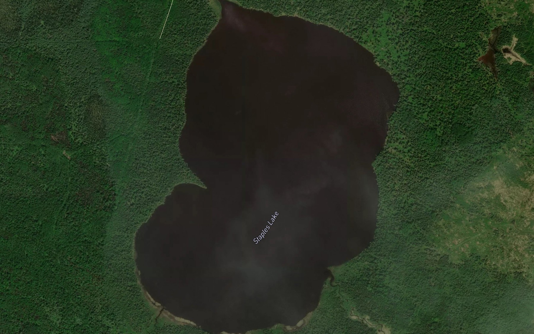 Satellite map of the Staples Lake