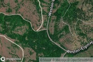 Little Phillips Creek