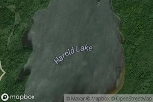 Harold Lake