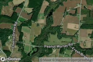 Little Fresh Water Branch